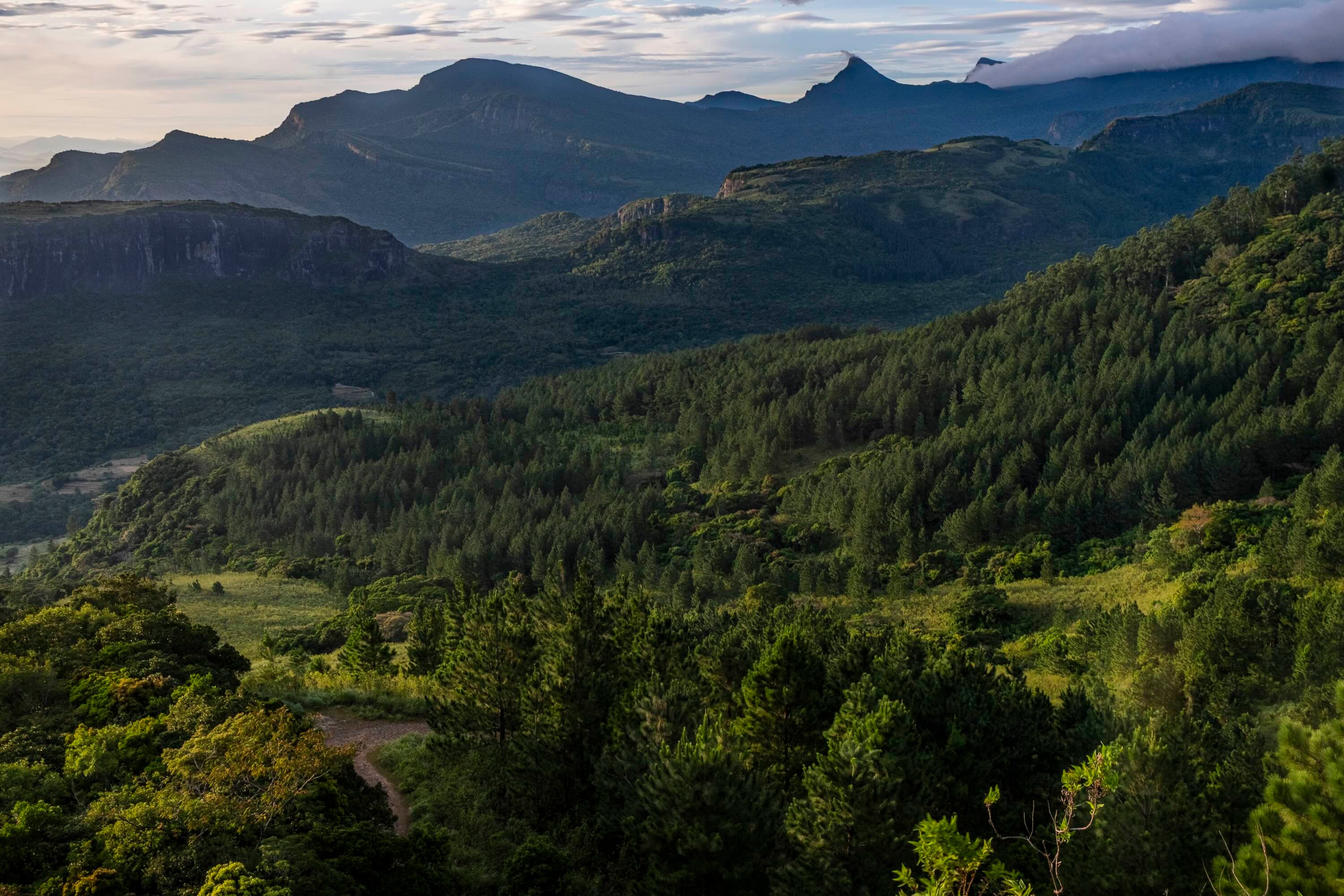 Dumbara Mitiyawatha: Tashiya de Mel