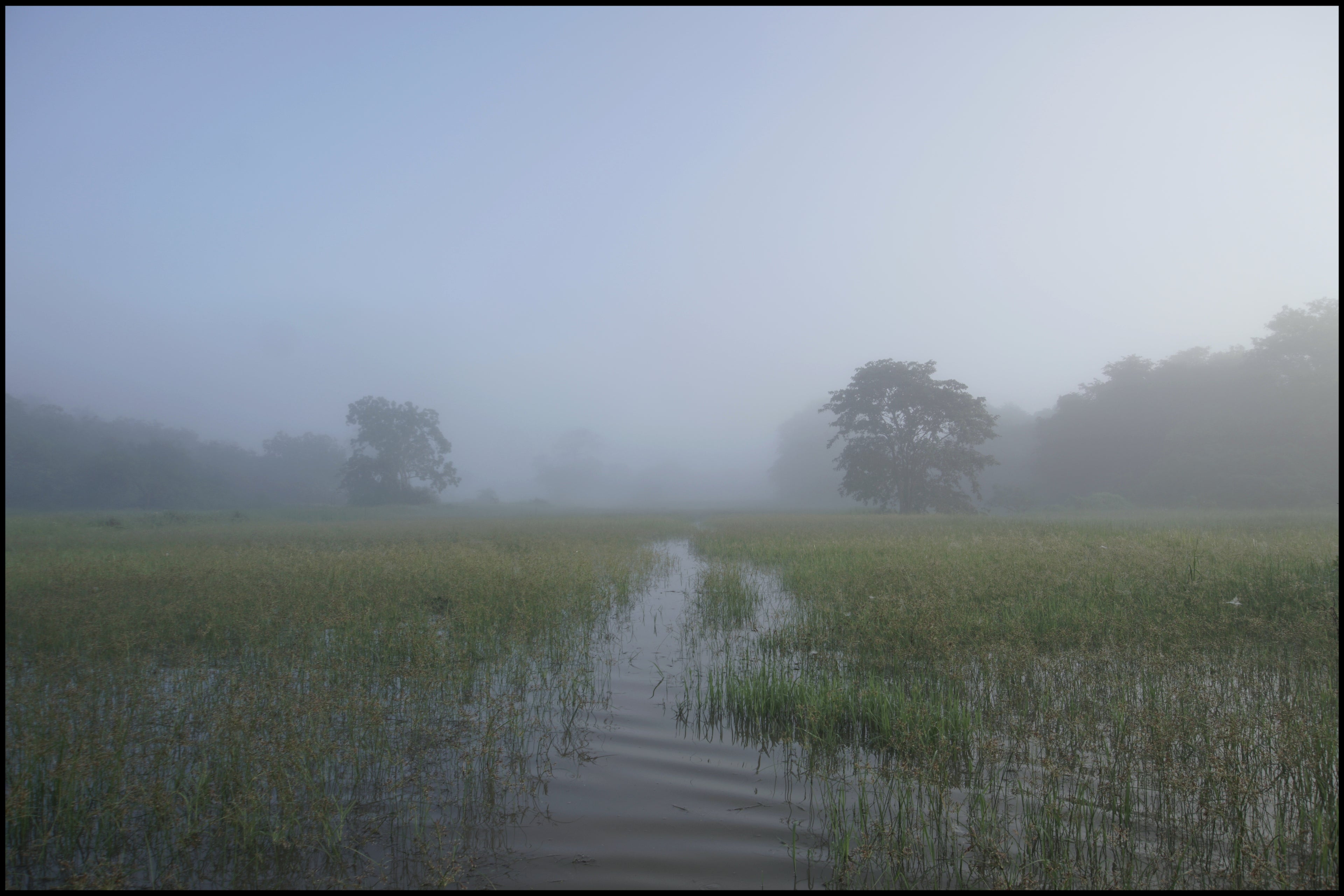 Moon and mist: Uditha Chirantha Ekanayaka