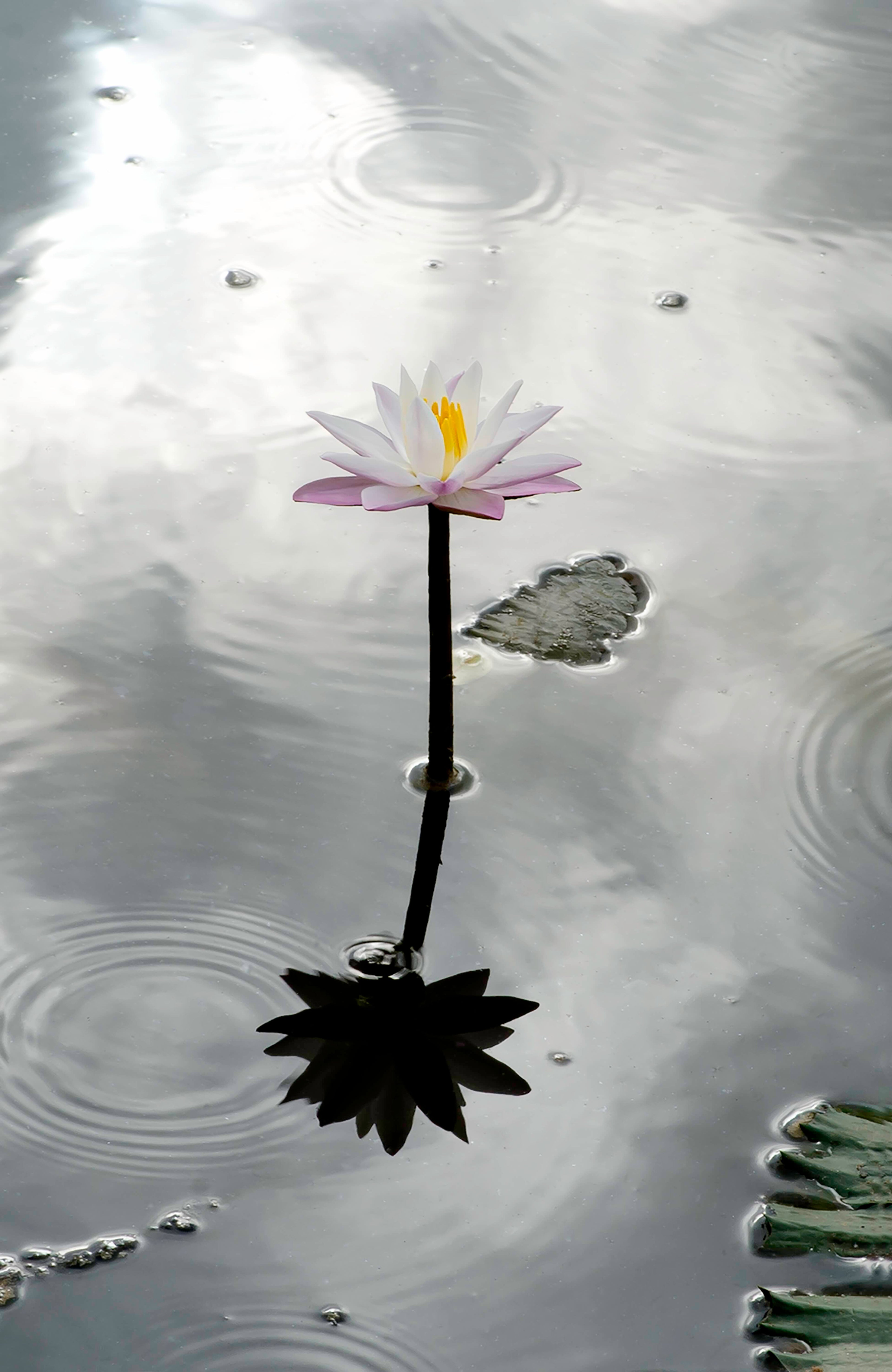 Reflection: Aamina Nizar