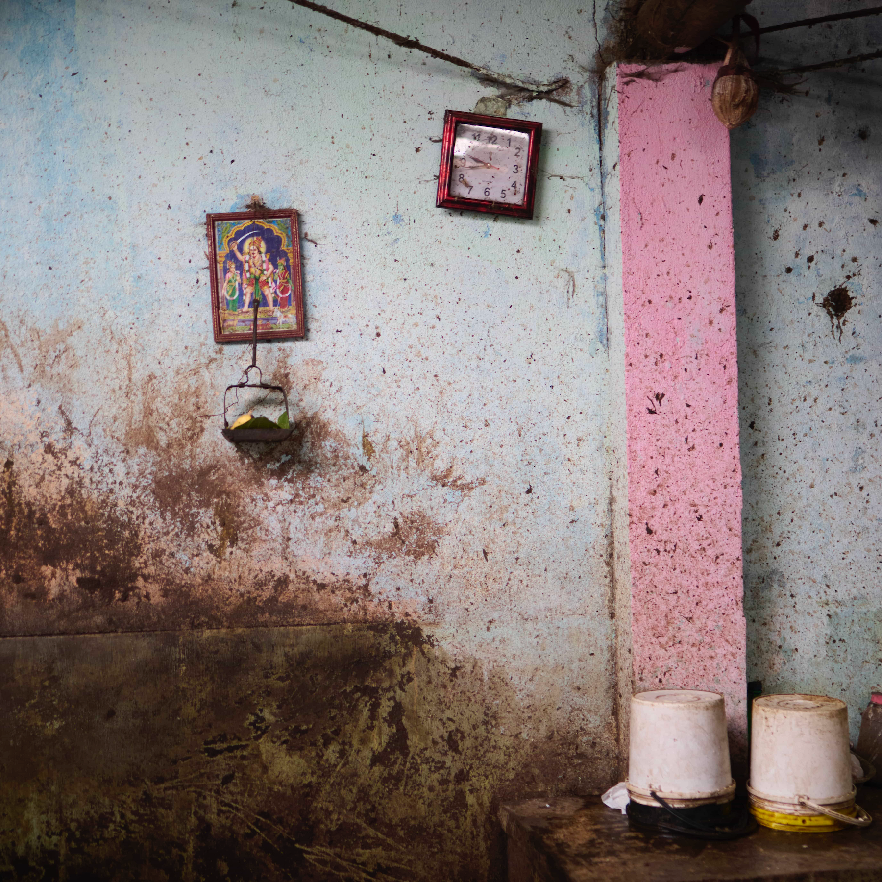 Cattle Shed: Sandesh Bartlett