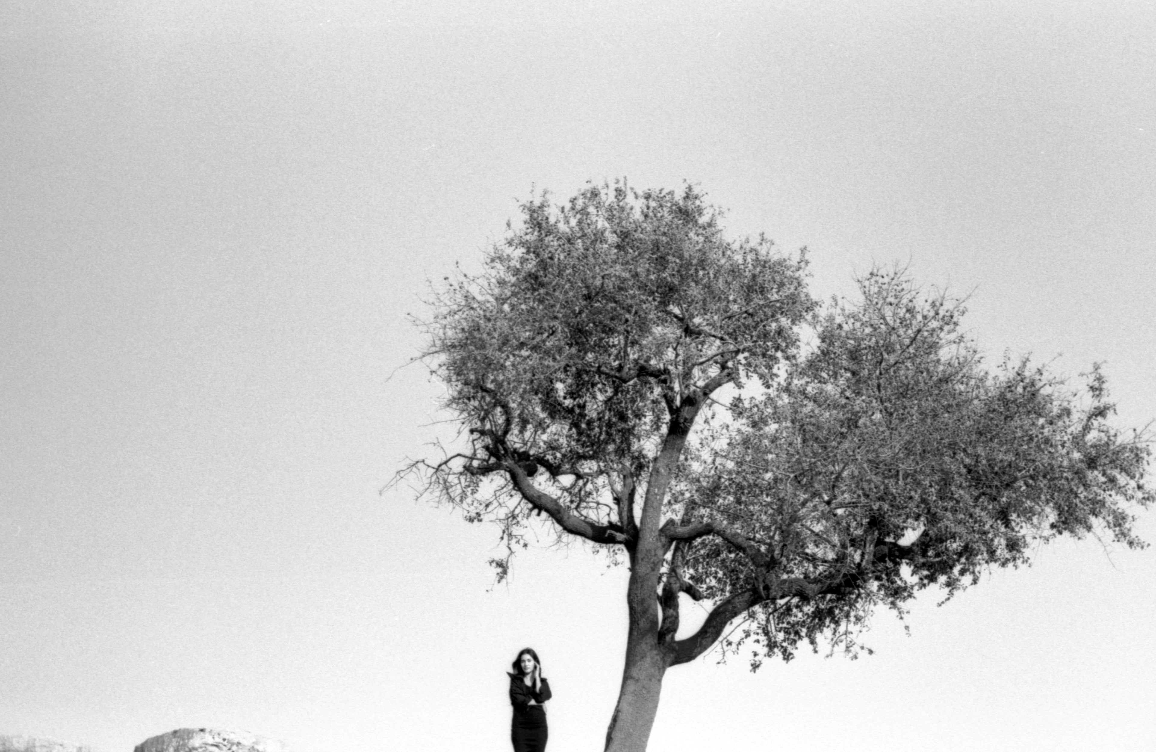 Untitled: Ahmad Alaqra