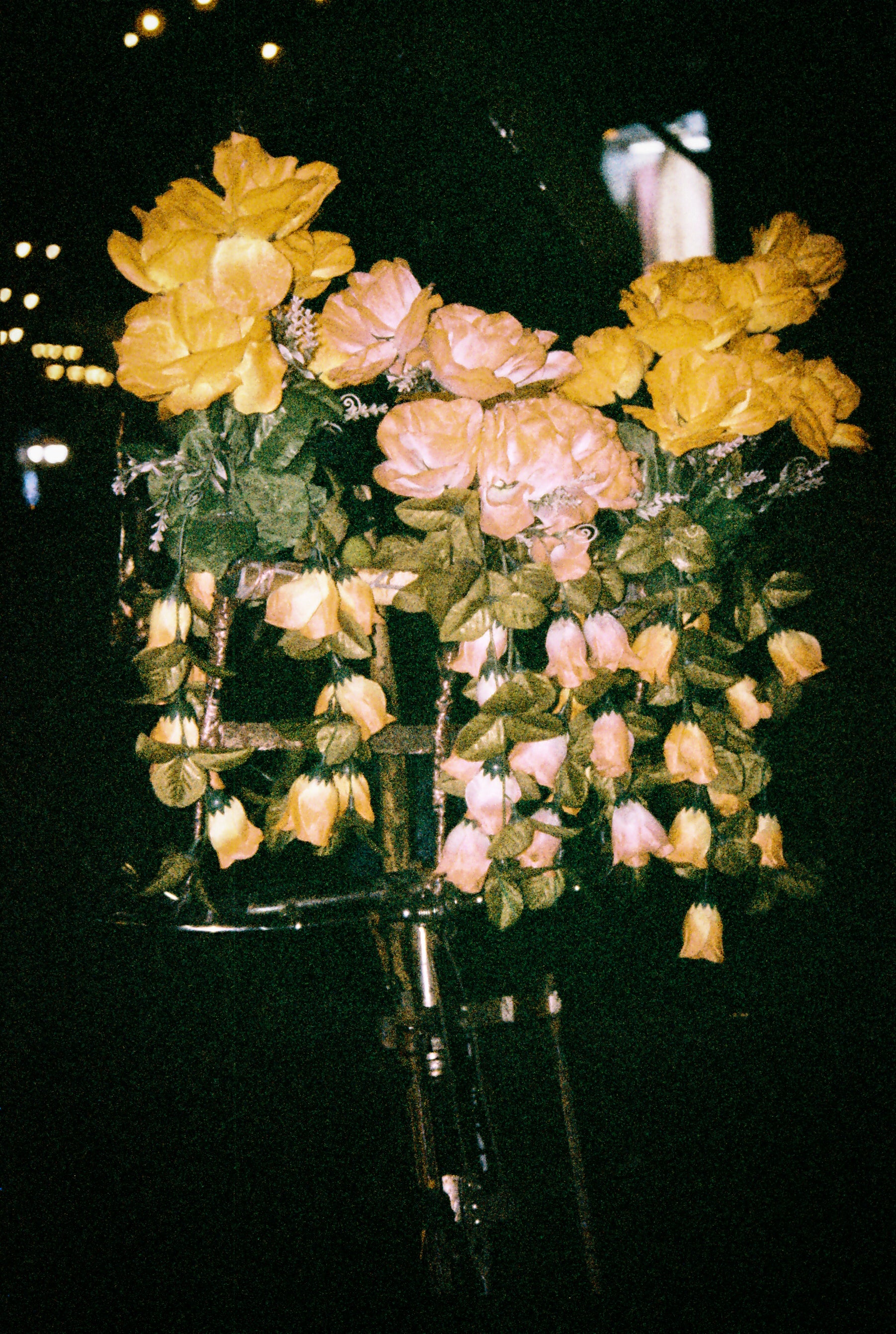 The Garden of Dreams: Nad E Ali